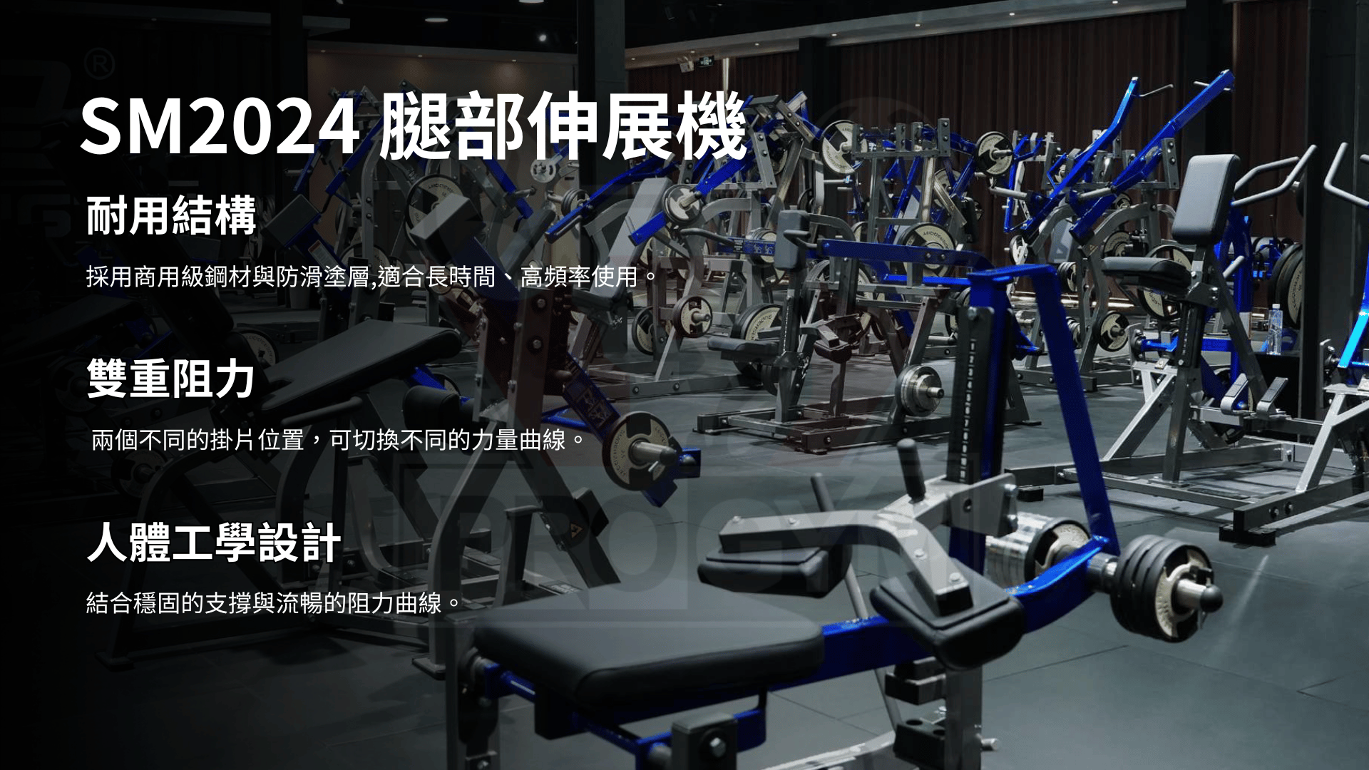 3377体育官方网站图片