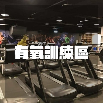 3377体育官方网站图片