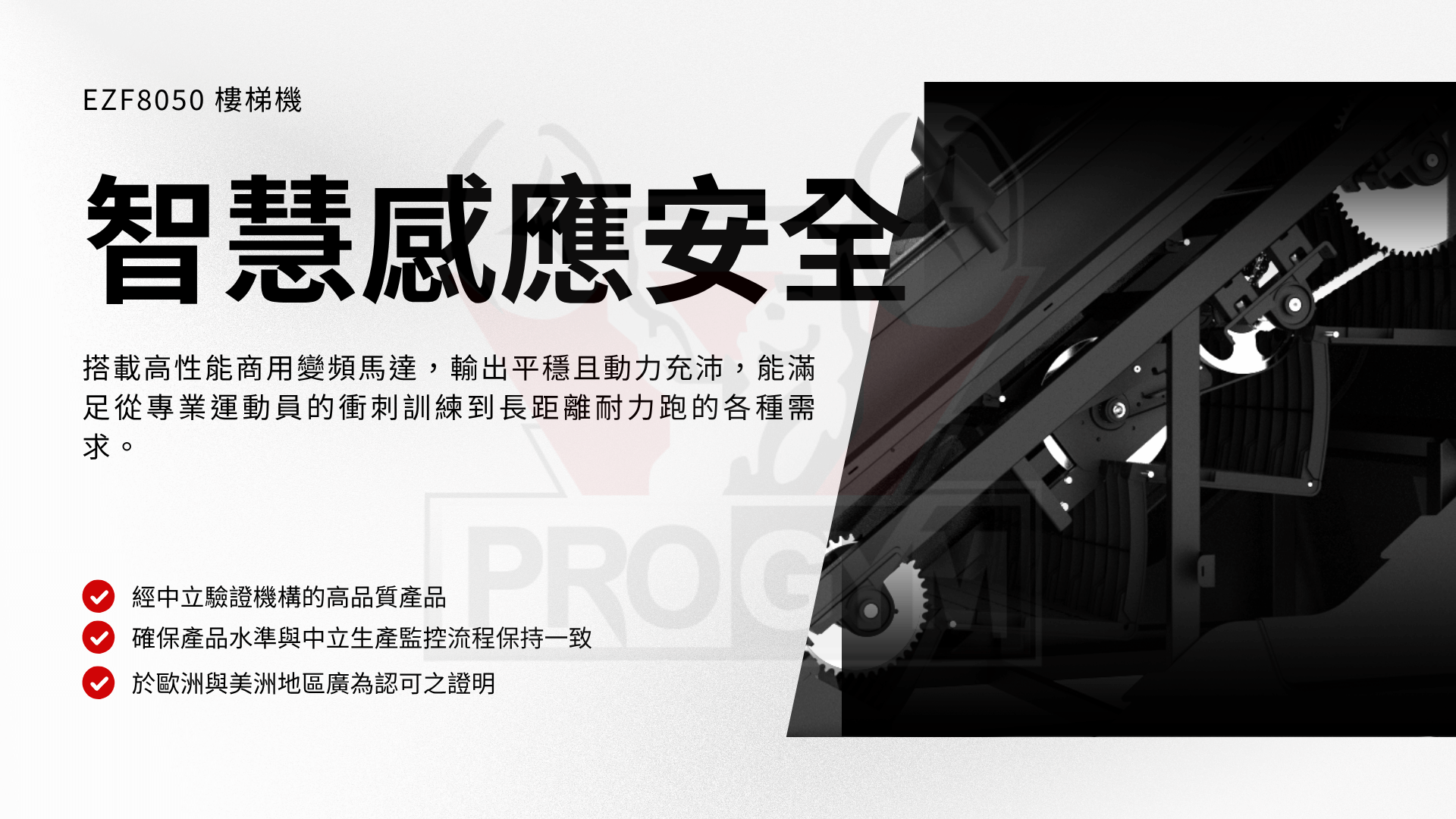 3377体育官方网站图片