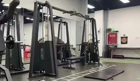 CABLE滑輪機-3377体育專業運動器材