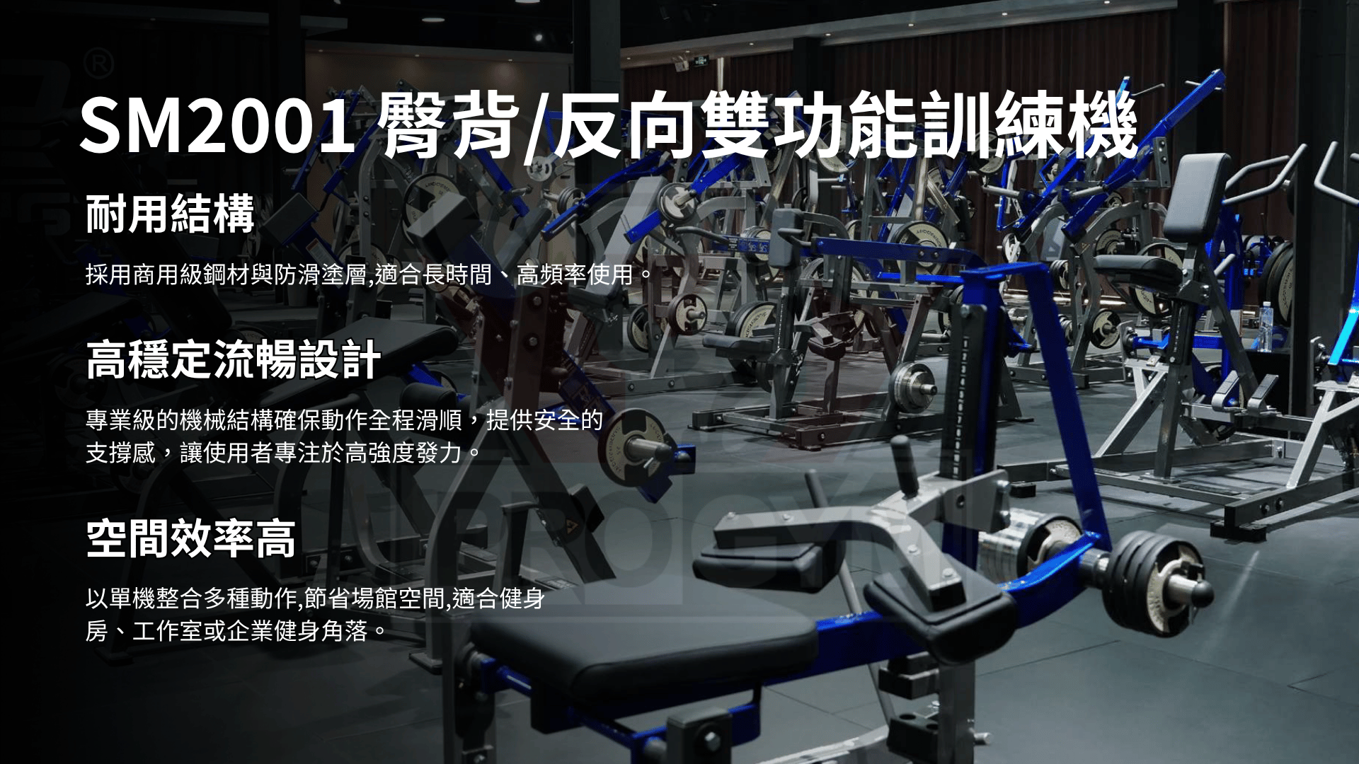 3377体育官方网站图片