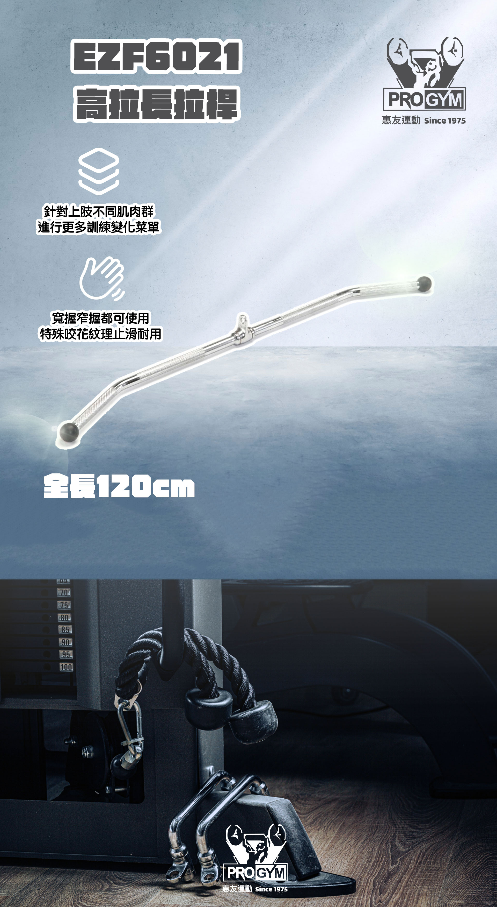 3377体育官方网站图片